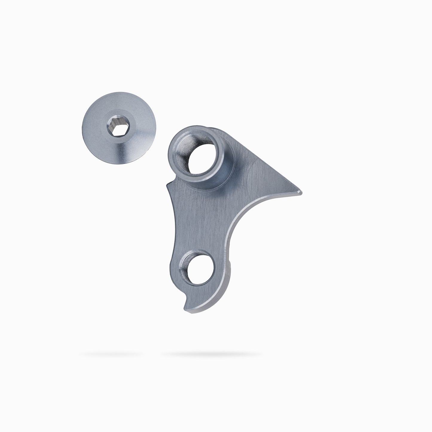 YT Szepter Derailleur Hanger