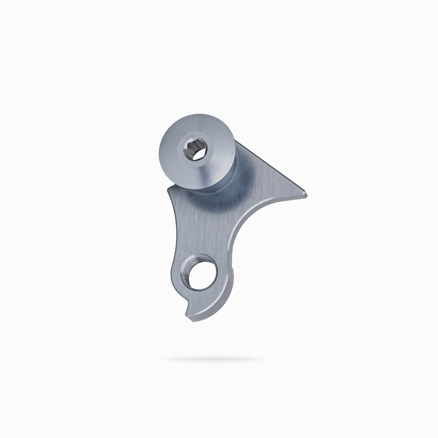 YT Szepter Derailleur Hanger